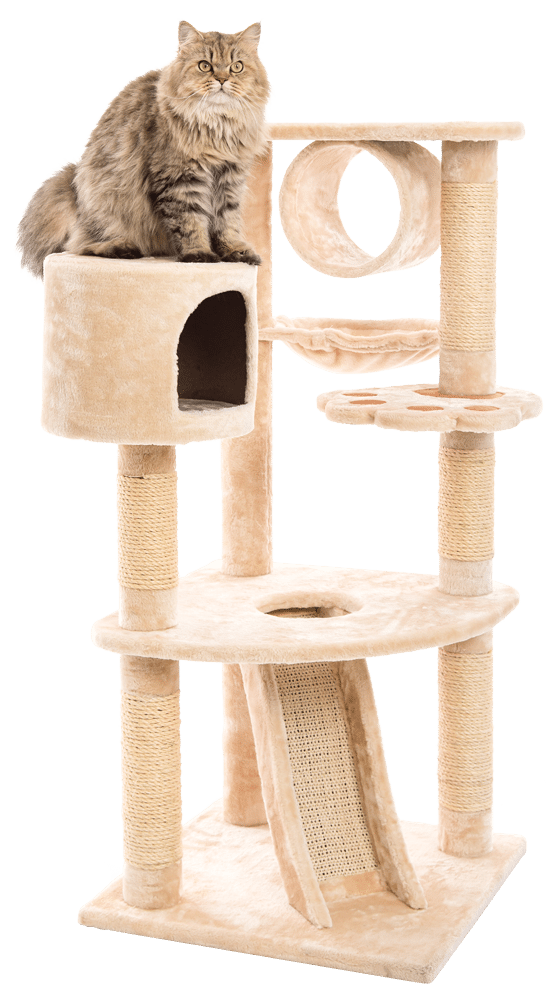 cat-tower