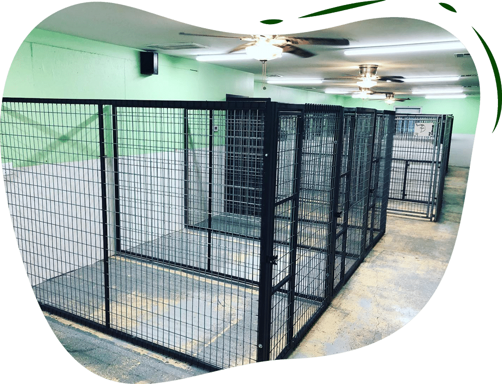 individual-suites